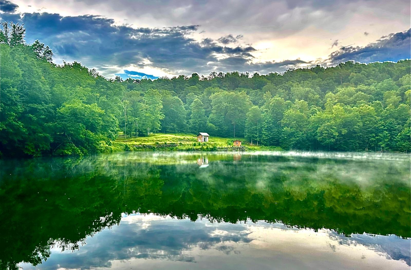 Walton Pond surrounded by trees with mist over the water